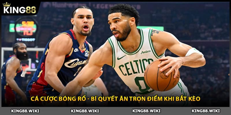 Cá Cược Bóng Rổ Và Bí Quyết Ăn Trọn Điểm Khi Bắt Kèo